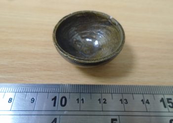 RUSPC 2021 32 Tiny Bowl