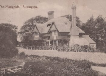 RUSHA 2018 924 Sepia Marigolds Hotel